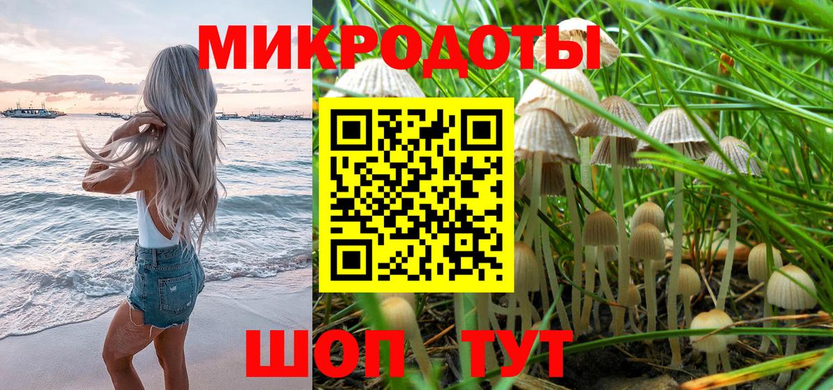 Галлюциногенные грибы Cubensis  Псилоцибиновые грибы MAGIC MUSHROOMS  Корсаков  Вход с VPN 